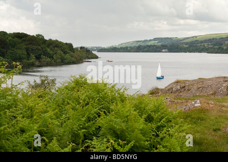 Ullswater, Lake District, Cumbria, Royaume-Uni. Banque D'Images