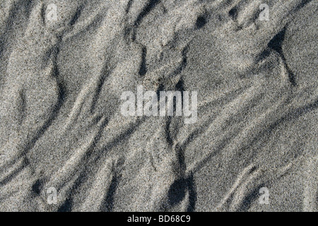 Les Ondulations de sable gris sur le Brahmapoutre, Assam, Inde Banque D'Images