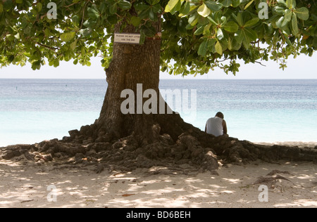 La figure solitaire se détendre à l'ombre d'un grand arbre sur la plage à la Grenade, Caraïbes. Banque D'Images