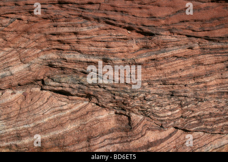 En strates de roche de grès Bunter, Hilbre Island, Wirral, Merseyside, Royaume-Uni Banque D'Images