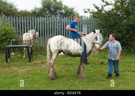 Brigg Horse Fair Brigg Lincolnshire Angleterre années 2009 2000 Royaume-Uni HOMER SYKES Banque D'Images