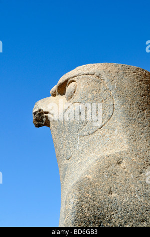 Statue de pèlerin dirigé dieu Horus à Edfou Temple culte ptolémaïque de l'Egypte Banque D'Images