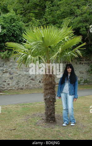 Femme debout à côté de palmier, Christchurch, Dorset, England, UK Banque D'Images