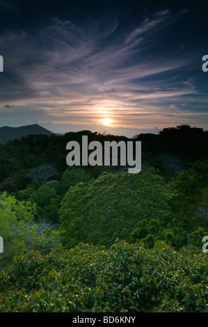 Soirée dans le parc national de Soberania, République du Panama. Banque D'Images