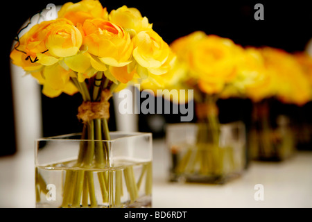 Une rangée de trois bouquets de fleurs jaune faux gel situé dans l'eau sur une table Banque D'Images