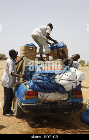 Le chargement de la prise de poisson sur une voiture en vente sur le marché, au lac de Lagdo, le nord du Cameroun, le Cameroun, l'Afrique Banque D'Images