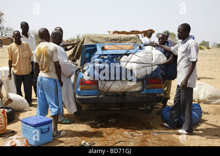 Le chargement de la prise de poisson sur une voiture en vente sur le marché, au lac de Lagdo, le nord du Cameroun, le Cameroun, l'Afrique Banque D'Images