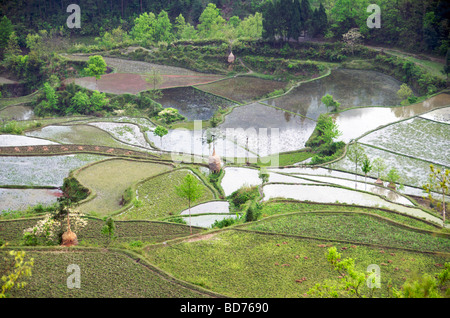 Vue aérienne des champs et rizières en terrasses inondées Guizhou Province Chine Banque D'Images