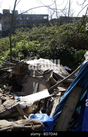 Camp d'immigrants dans la région de woods démoli à rome Banque D'Images