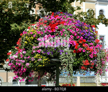 Un énorme panier coloré planté de fleurs d'Aachen Rhénanie du Nord-Westphalie, Allemagne Europe Banque D'Images