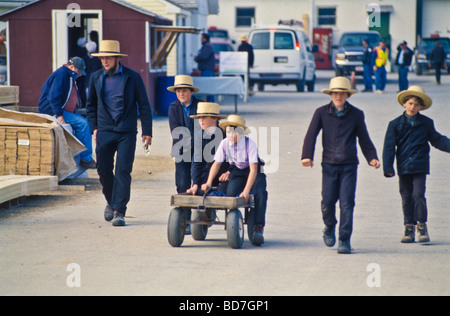 Père et fils, les agriculteurs amish à Lancaster County boue printemps vente aux enchères. Banque D'Images