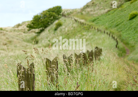 Piquet de marquage du sentier côtier près de Château de Bamburgh, Northumberland, England, UK Banque D'Images