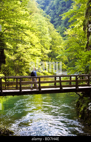 Gorges de Vintgar près de Bled Gorenjska Slovénie Banque D'Images