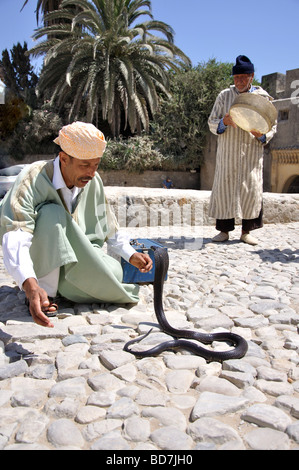 Charmeur de serpent avec Cobra, Medina, Tanger, Maroc, Région Tangier-Tétouan Banque D'Images