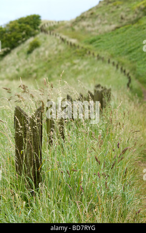 Piquet de marquage du sentier côtier près de Château de Bamburgh, Northumberland, England, UK Banque D'Images