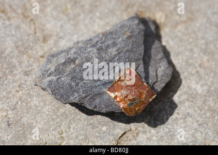 Or d'imbéciles ou de pyrite de fer dans la roche d'ardoise Banque D'Images