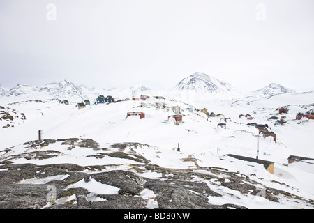 Greenlands sledgedogs et maisons du village du Groenland Kulusuk Banque D'Images