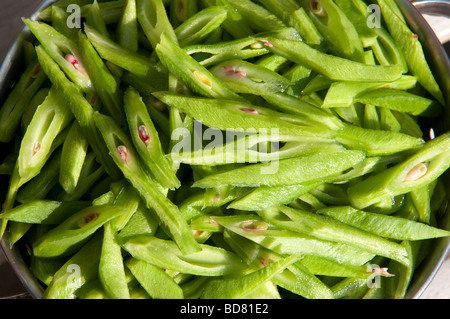 L'Empereur écarlate bio haricots prête pour la cuisson Banque D'Images