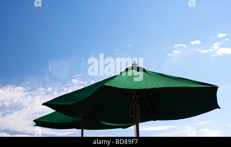 Parasols verts contre un ciel bleu Banque D'Images