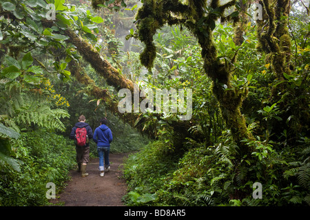 Jeune couple en train de marcher le long d'un sentier dans la réserve de la Forêt Nuageuse de Monteverde au Costa Rica. Banque D'Images