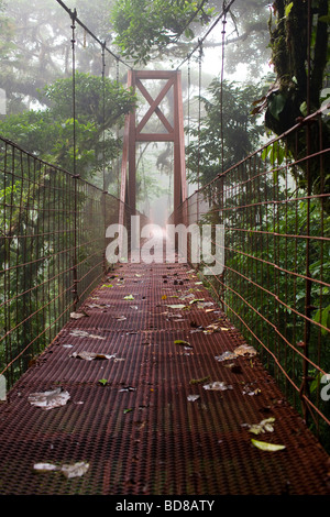 Pont suspendu dans la réserve de la Forêt Nuageuse de Monteverde, Costa Rica. Banque D'Images