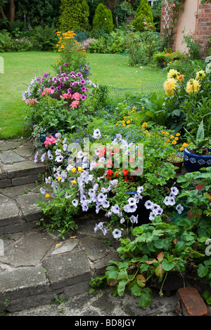 Des étapes de jardin avec des veines bleues et roses d'idées surfinias tagetes de dahlias et de géraniums Banque D'Images