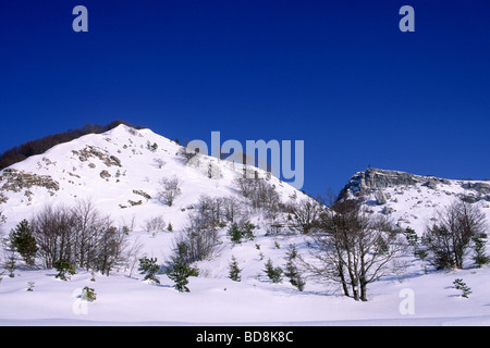Italie, Molise, Capracotta, Prato Gentile Banque D'Images