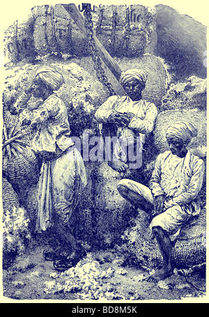 Coolies au marché du coton dans la région de Bombay à partir de l'illustration avec les peuples du monde par John Clark Ridpath Clark E Ridpath 1912 Banque D'Images