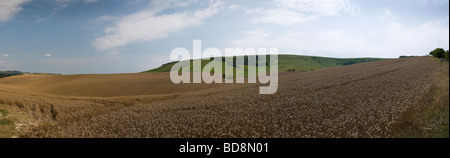 Panorama de la South Downs Way à Cold Coombes near Lewes et Kingston near Lewes, East Sussex, UK Banque D'Images