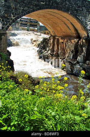 Israël l'eau qui coule dans le Jourdain au sud de la mer morte après l'ouverture du barrage sur la mer de Galilée, Mars 2009 Banque D'Images