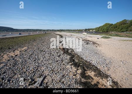 Quai rouge Bay Anglesey Pays de Galles UK Banque D'Images