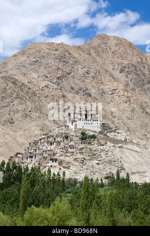 Chemrey monastère Bouddhiste. Ladakh. L'Inde Banque D'Images