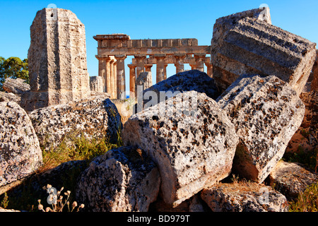 Colonne dorique grec tambours Dorik Temple ruines de Temple F à Selinunte Sicile Banque D'Images