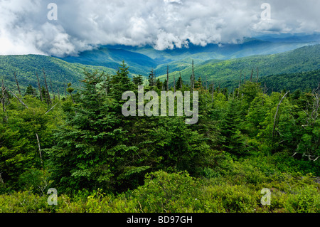 Les nuages de basse altitude spectaculaire et vue de la Smoky Mountains de Clingmans Dome en Caroline du Nord Banque D'Images