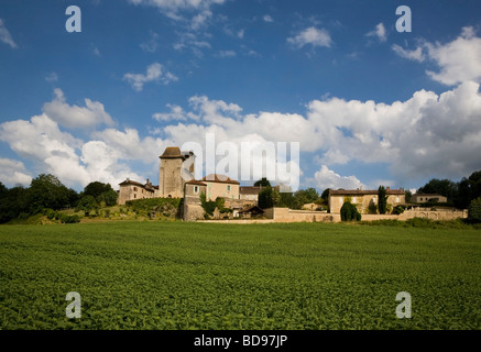 L'église et le village au-dessus d'un champ de tournesol, siorac de Riberac, dordogne, france Banque D'Images