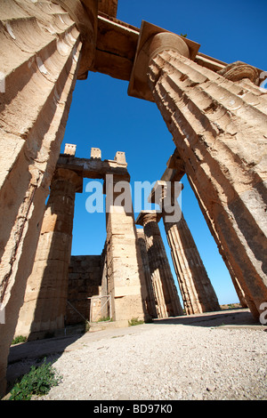 Dorik grecque des colonnes en ruines de Temple E à Selinunte Sicile Banque D'Images