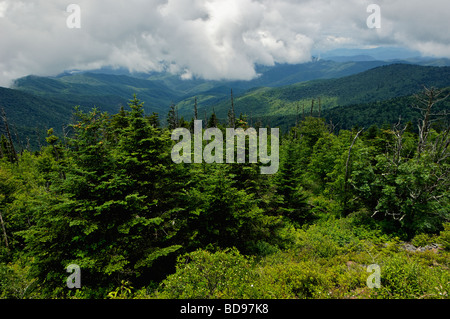 Les nuages de basse altitude spectaculaire et vue de la Smoky Mountains de Clingmans Dome en Caroline du Nord Banque D'Images