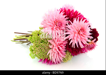 Joyeux bouquet dans vase avec rose et rouge Dahlias Banque D'Images