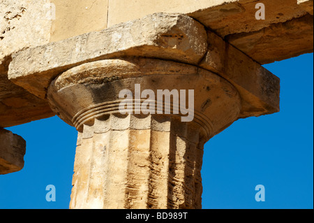 Dorik grecque des colonnes en ruines de Temple E à Selinunte Sicile Banque D'Images