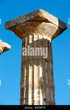 Dorik grecque des colonnes en ruines de Temple E à Selinunte Sicile Banque D'Images