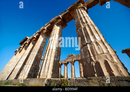 Dorik grecque des colonnes en ruines de Temple E à Selinunte Sicile Banque D'Images