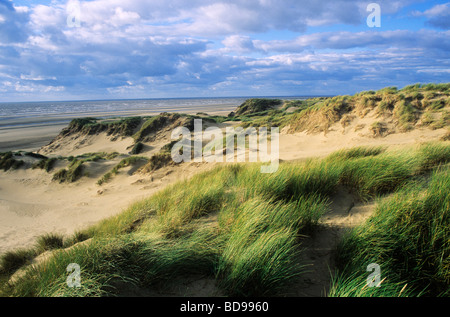 Formby Dunes Lancashire côte anglaise sable paysage côtier England UK oyat plage bord de mer Banque D'Images