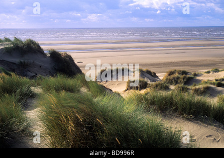 Formby Dunes Lancashire côte anglaise sable paysage côtier England UK oyat plage bord de mer Banque D'Images