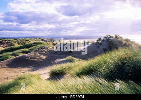 Formby Dunes Lancashire côte anglaise sable paysage côtier England UK oyat plage bord de mer Banque D'Images