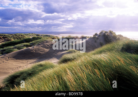 Formby Dunes Lancashire côte anglaise sable paysage côtier England UK oyat plage bord de mer Banque D'Images