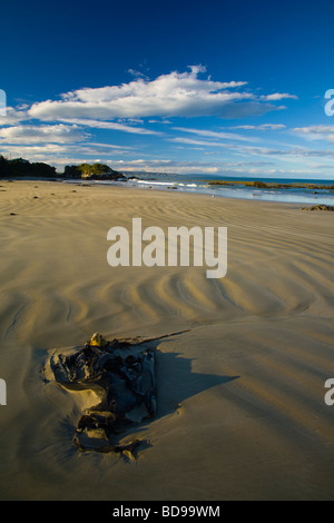 La NOUVELLE ZELANDE Otago La fin d'après-midi Catlins met en évidence les ondes à la baie de sable de Kaka Point Beach près de Nugget Point Banque D'Images