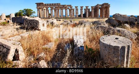 Dorik grecque des colonnes en ruines de Temple E à Selinunte Sicile Banque D'Images