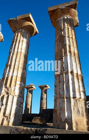 Dorik grecque des colonnes en ruines de Temple E à Selinunte Sicile Banque D'Images