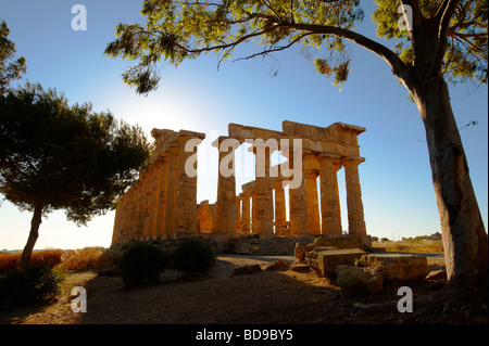 Dorik grecque des colonnes en ruines de Temple E à Selinunte Sicile Banque D'Images