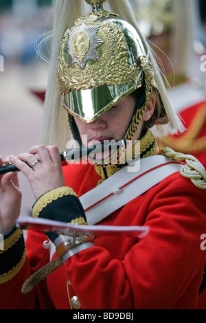 Un musicien de l'imprimeur de la garde de la vie après la relève de la garde, Buckingham Palace, Londres, Grande-Bretagne Banque D'Images